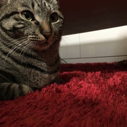 「まー様と呼んでしまう。。。」サムネイル2