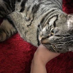 「まー様と呼んでしまう。。。」サムネイル3