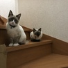 の写真