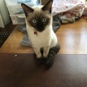 よろしくお願いします！
