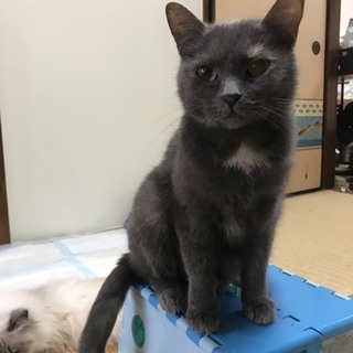 良縁に恵まれました