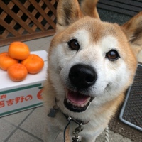 仁 