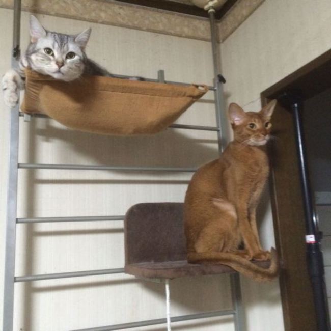 キッシー0721のカバー写真