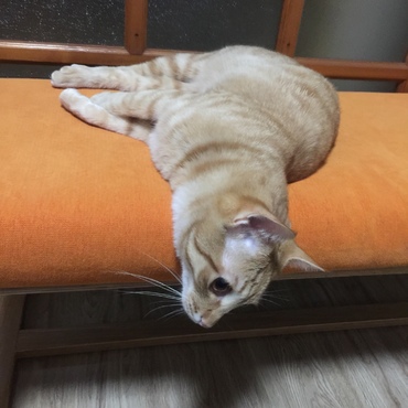 の写真