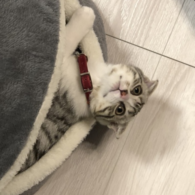 つるママのカバー写真