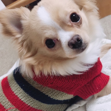 おっきくなったね♡