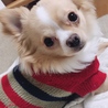 おっきくなったね♡