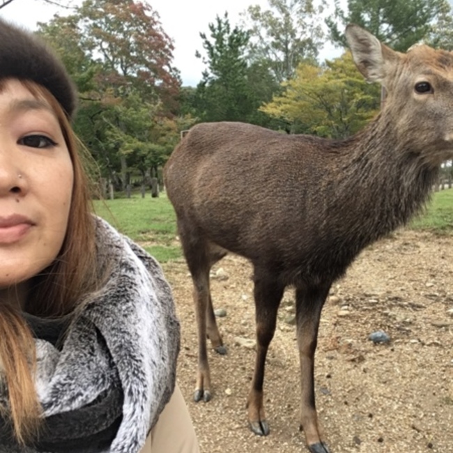 Yo-Yo77のカバー写真
