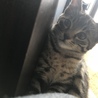 の写真