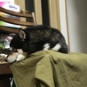 の写真