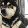 の写真