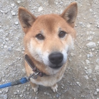 フレンドリーだよ☆えいじろう