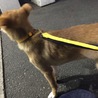 あいっちさん