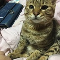 里親募集します!!