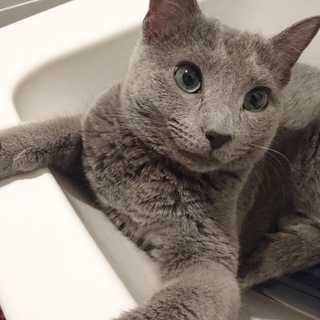 大切にしてくださる方のみ。