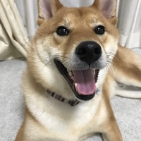 マロン