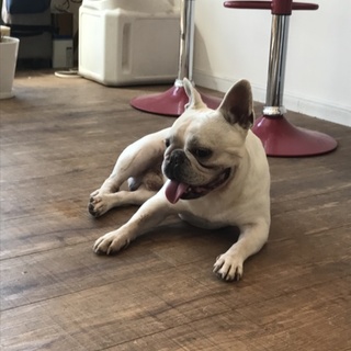 素敵なご家族に出会えました。