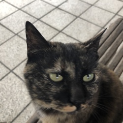 「早くも…」サムネイル1