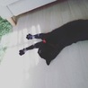  さん