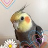 ゆーみん♡◡̈⃝⋆*