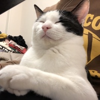 ゼン