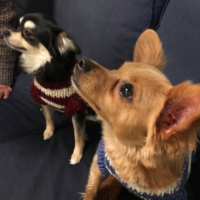 michuryuのカバー写真