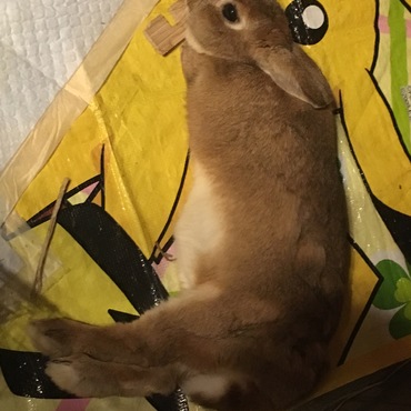 の写真