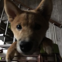 える