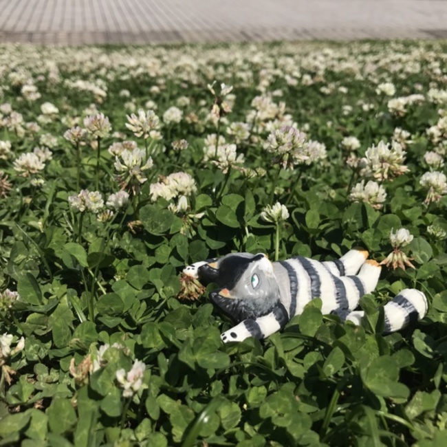 y-3poのカバー写真
