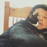 アミーゴ森