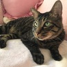 おすまし顔していたのて撮りました(=^･ω･^=)かわい過ぎる。。