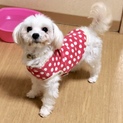 ぱっちりお目々が可愛いリーちゃん❤︎