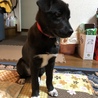 ちょっと大きくなりました。