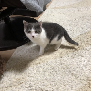 2ヶ月半ぐらいの男の子