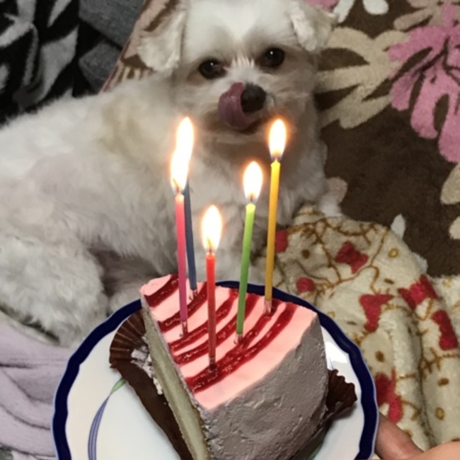 ちっち666のカバー写真