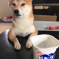 ゆず