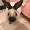 の写真