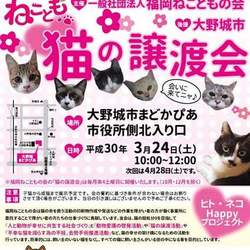 福岡ねこともの会　 3月24日　譲渡会