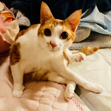 カンの写真