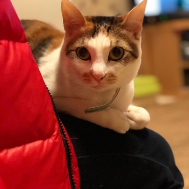 ルイの写真