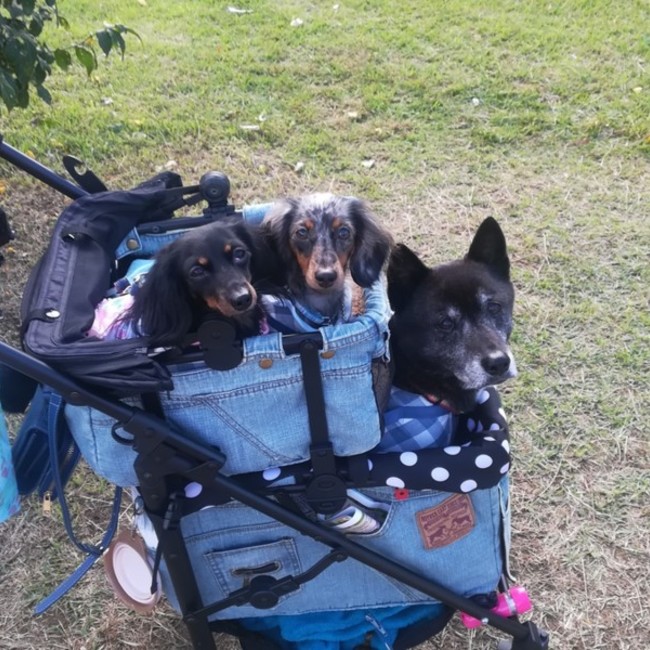 715172のカバー写真