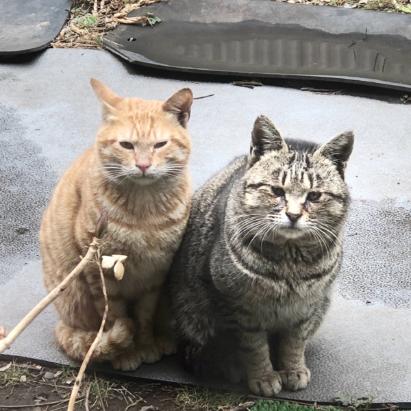 目力弱めのぼくちゃん サムネイル2