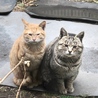 目力弱めのぼくちゃん サムネイル2