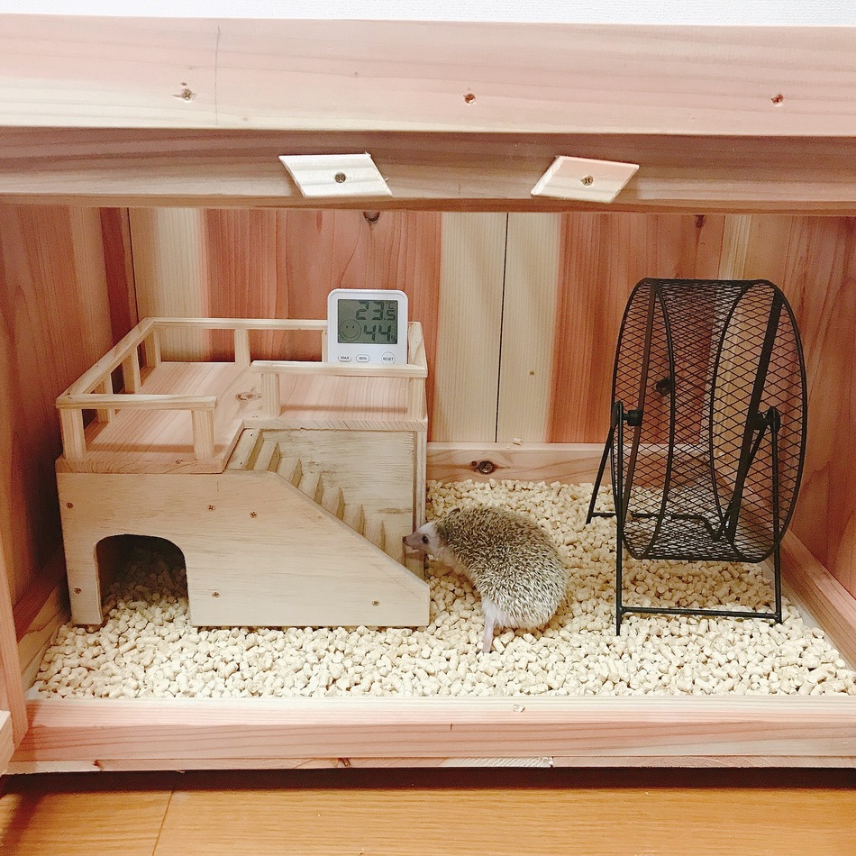 チャイのカバー写真