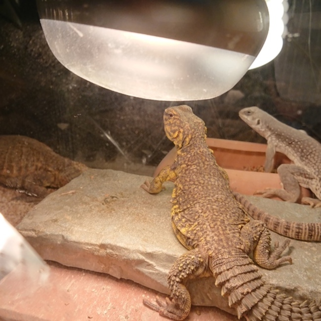 yuyu0813のカバー写真