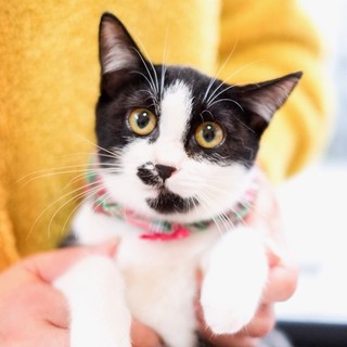 愛敬た～っぷり　❤ビビちゃん❤（動画あり）