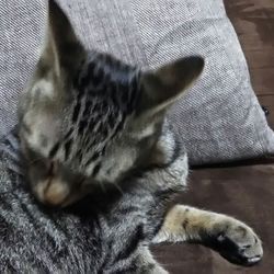 「詔ちゃんのジャンプ力！」サムネイル2