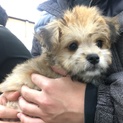 まだまだ赤ちゃんですが
