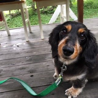 彼女を理解し家族として迎えてください。