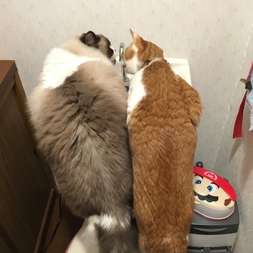 の写真
